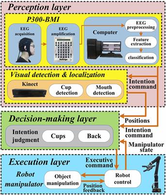 An Intention-Driven Semi-autonomous Intelligent Robotic System for Drinking